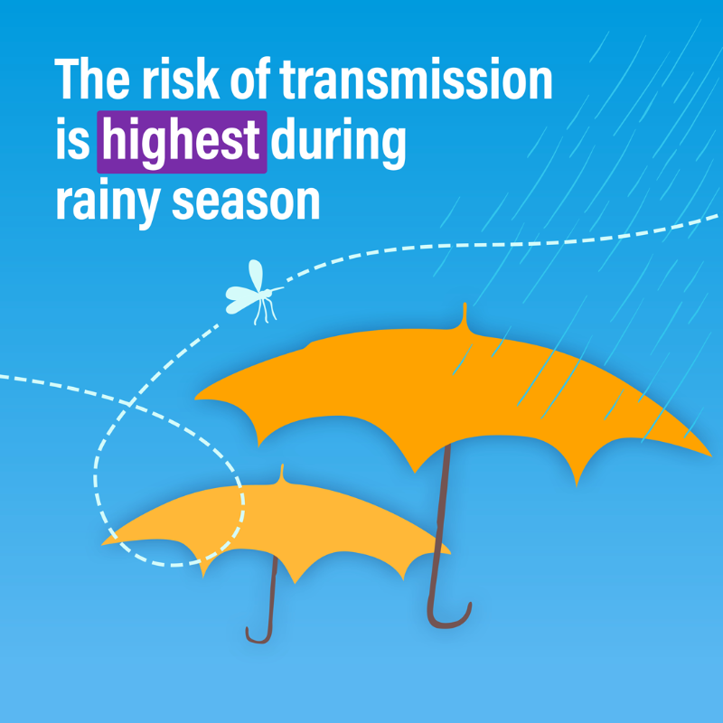 WHO's tweet photo. Today is #WorldMalariaDay.

#Malaria is transmitted through the bites of Anopheles mosquitoes 🦟. Nearly half of the world's population is at risk of malaria.

Here are 4 things you need to know about malaria ⬇️