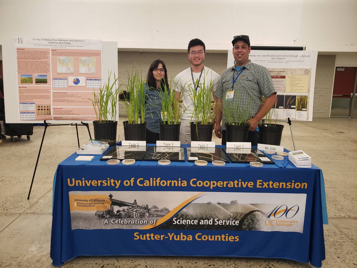 UCCE Rice Team tweet media