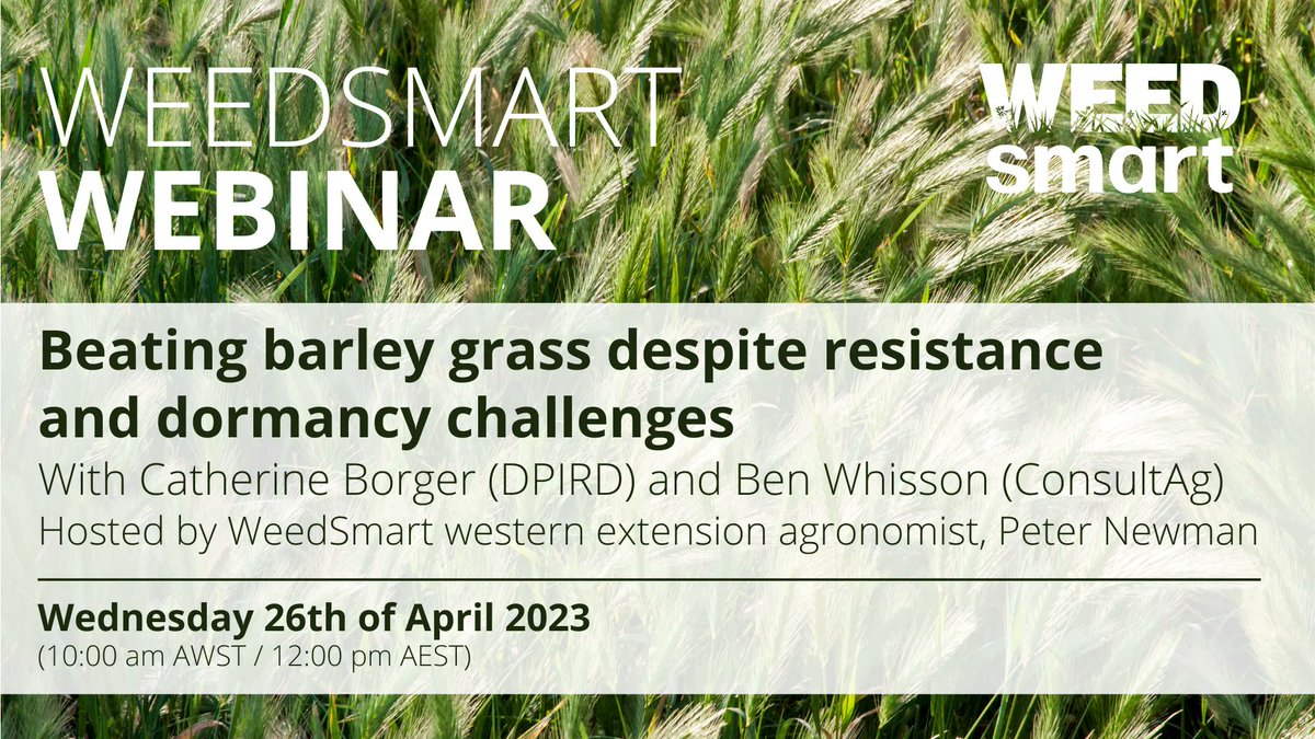 WeedSmart tweet media