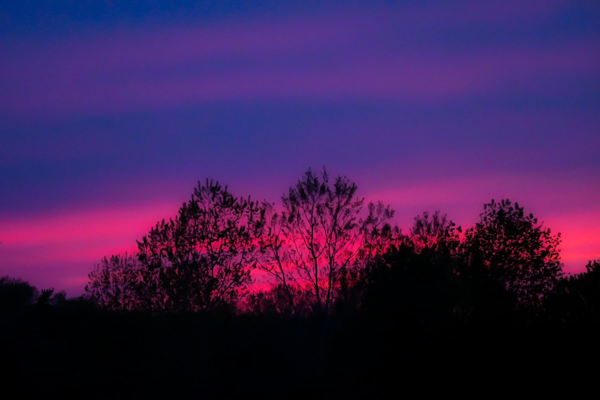 AntionetteG's tweet image. When the sunset looks like a painting