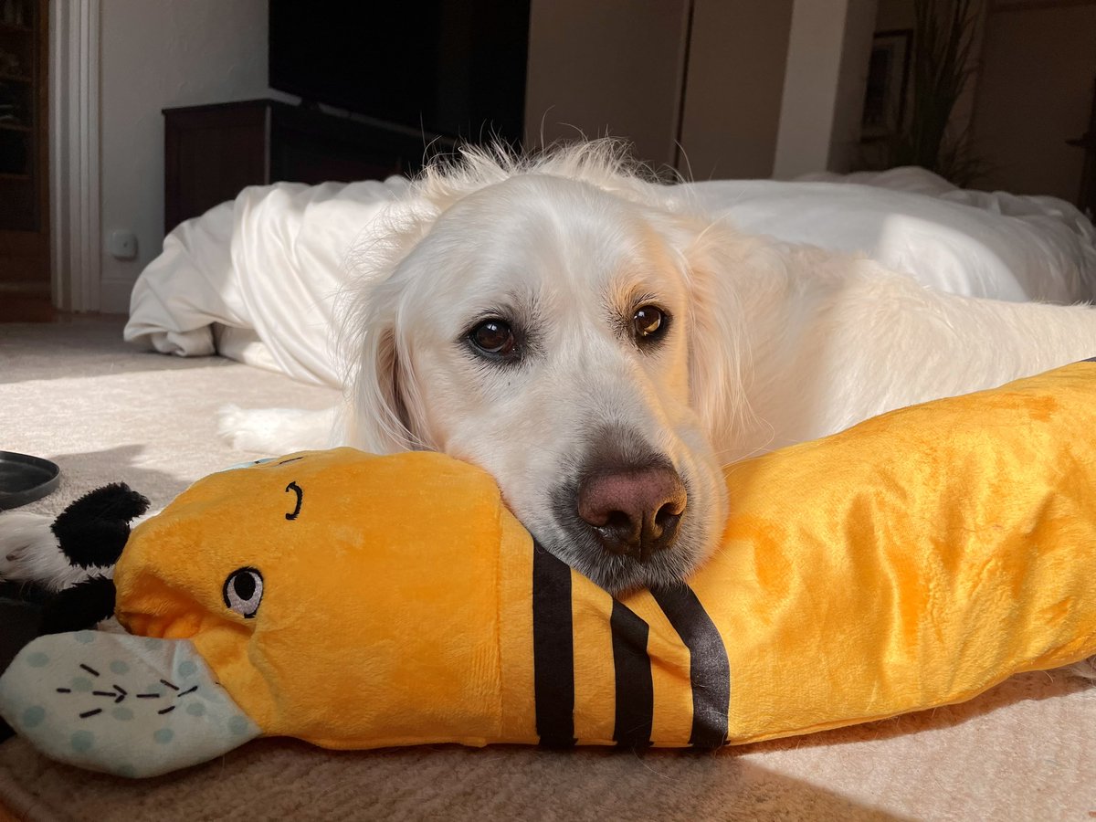 ATTACK!! but also….snug