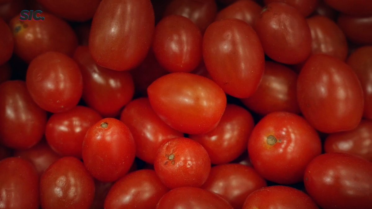 SicPeriodismo's tweet photo. Según el @SenasaAR, unos 80 químicos están presentes en frutas y verduras que consumimos y que, a su vez,  están prohibidos en otros países.
Es claro: el veneno que ponemos en el campo llega a nuestras mesas.
Miralo en vivo acá 👇👇👇
https://t.co/j2C5RVq2Dx https://t.co/sICTNi5NwH