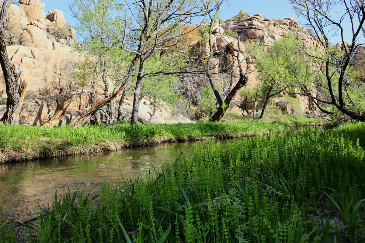 Hunter47539692's tweet photo. Hiker life #hikernomadlife #nomadlife #hiking #hiker #hike #adventure #storyofmylife #watsonlakeloop #adventureusa #Prescott #looptrail #hikingarea #watsonlake #man #trailhead https://t.co/sje9FL00IK