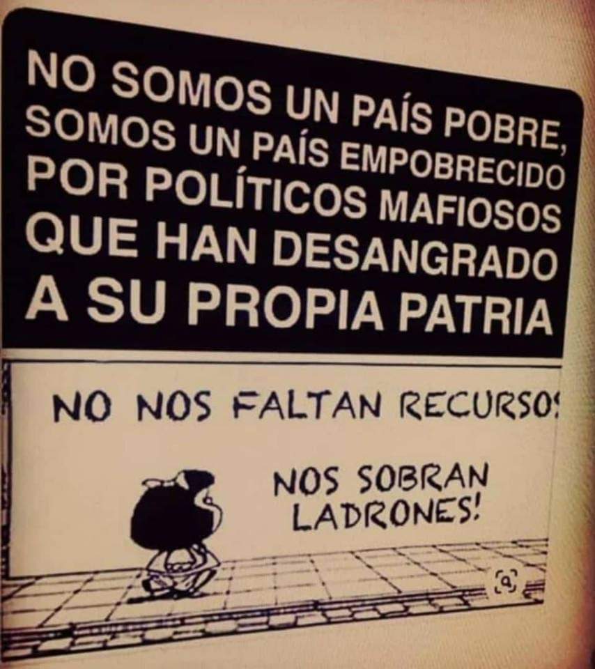 🐾🐾🐕🐾ɹɐןı̣Ԁ🐾🐕🐾🐾 tweet media