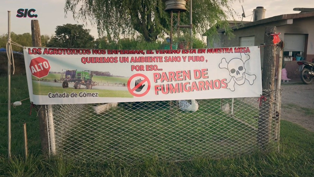Según el <a href="/SenasaAR/">Senasa Argentina</a>, unos 80 químicos están presentes en frutas y verduras que consumimos y que, a su vez,  están prohibidos en otros países.
Es claro: el veneno que ponemos en el campo llega a nuestras mesas.
Miralo en vivo acá 👇👇👇
youtube.com/live/r0H1QB7BA…