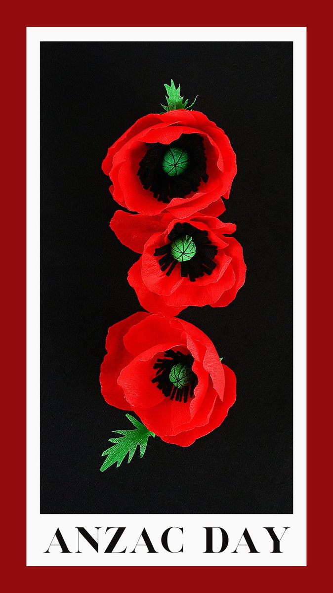 Catholic_Priest's tweet photo. "We will remember them - Lest we forget." - #OdeofRemembrance #AnzacDay2023
๐ท Anzac Day Poppies / ยฉ Detry26 / #GettyImages. #Catholic_Priest #CatholicPriestMedia https://t.co/tUMNC9Y36m