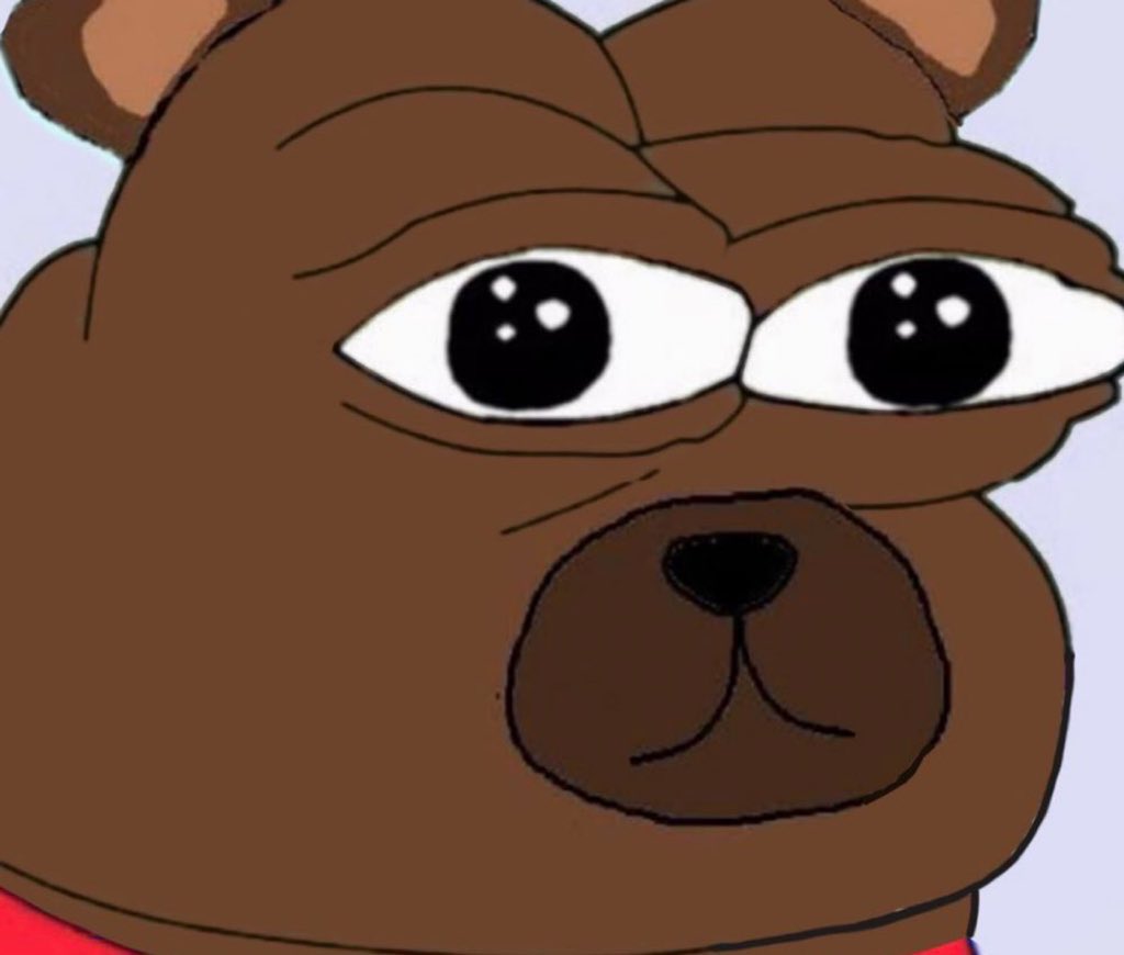 The Bobo Council 🐻 (@bobocouncil) on Twitter photo 