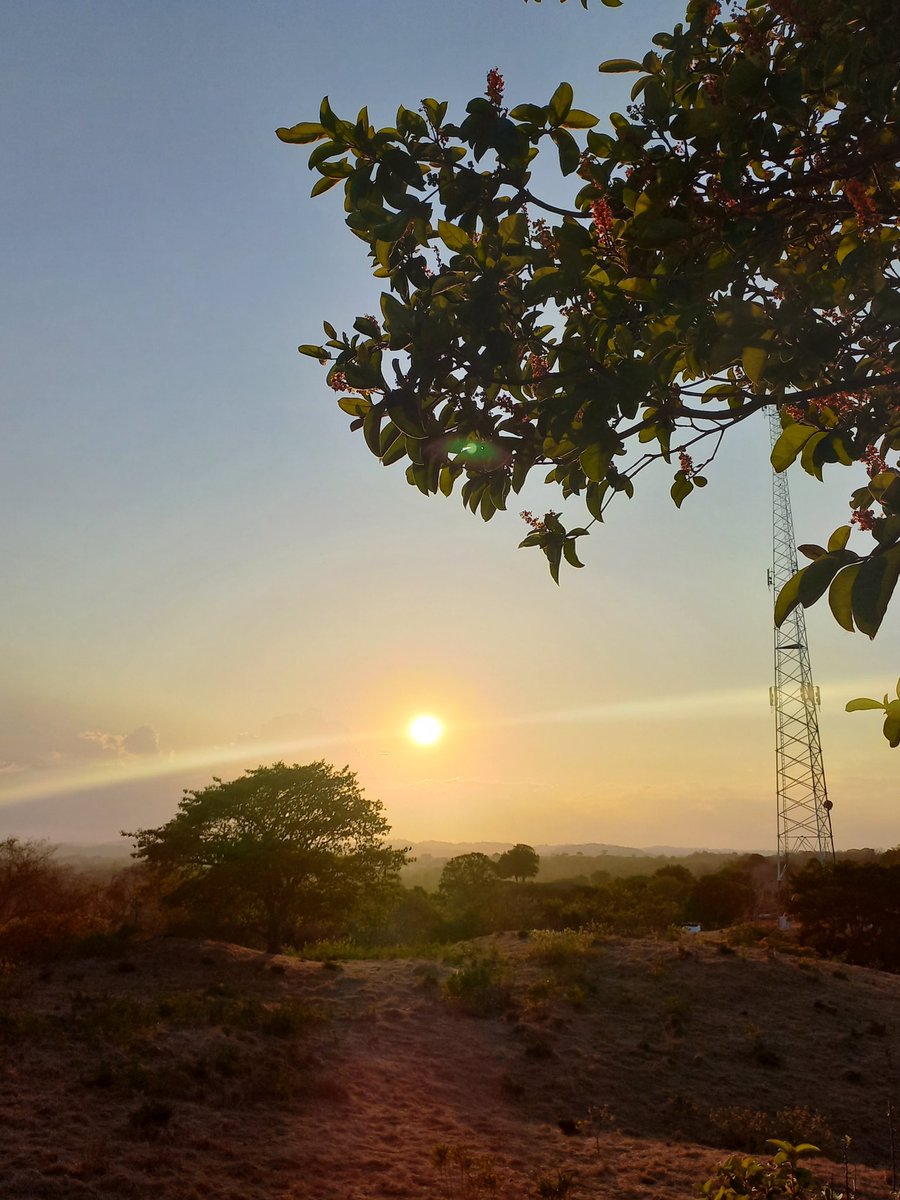 PathDreamerGirl's tweet image. Los Santos, Panama 🩷