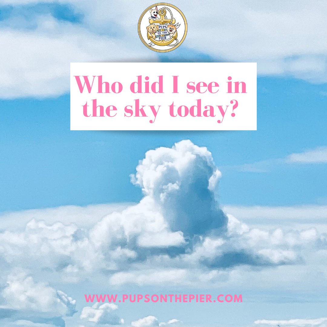 👀✨ Is it a bird? A plane? Or someone even more amazing? 🚀 Give me your best guesses and let's see who can figure it out! 🧐🌟 #SkySurprises #GuessingGame #trivia #commentbelow