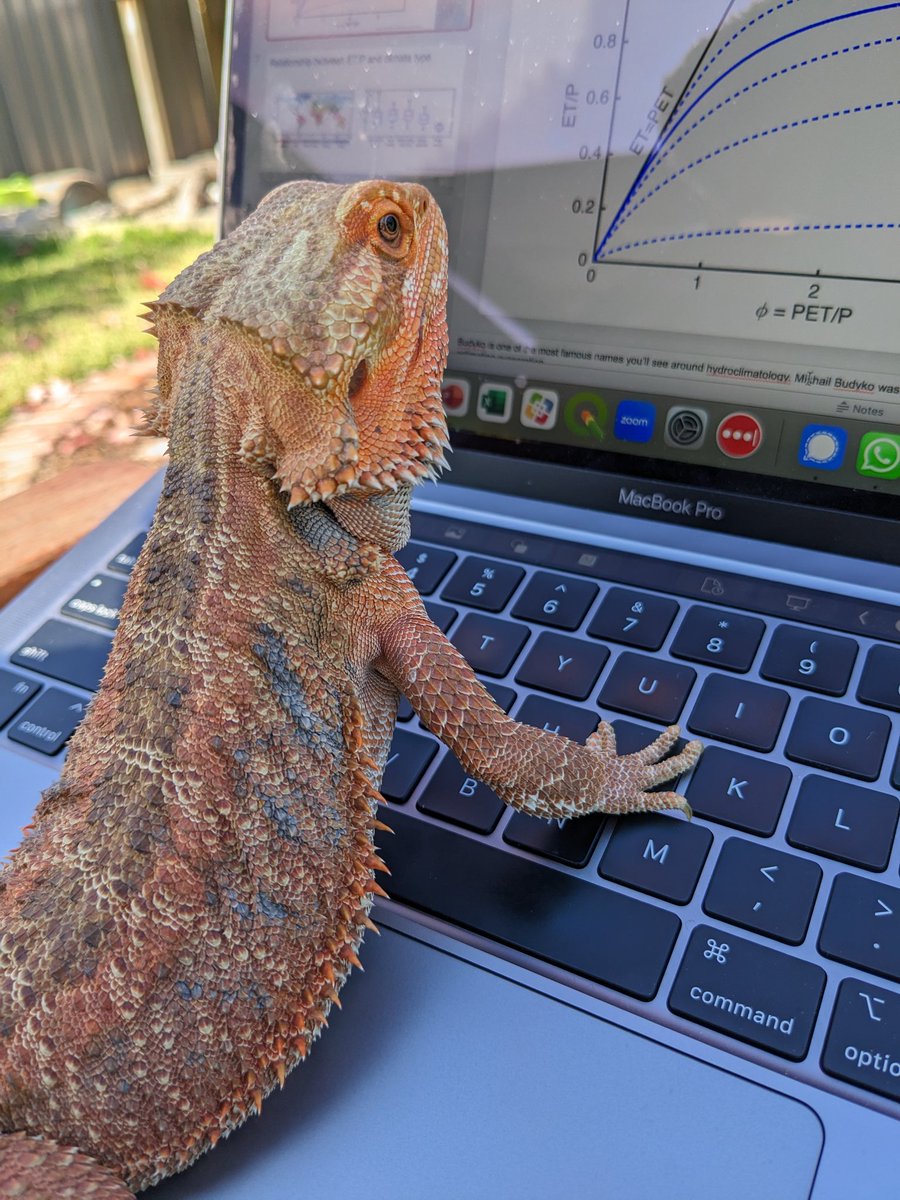 Sitting outside writing lectures and my buddy decides he's going to help.