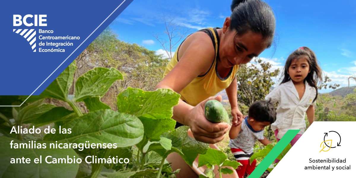 Como parte de nuestra Estrategia Institucional y contemplado en nuestro eje de Sostenibilidad Ambiental y Social, en #Nicaragua, impulsamos programas que promueven la resiliencia y mitigación a los efectos del cambio climático.

Conoce màs: bit.ly/3HbfyMC