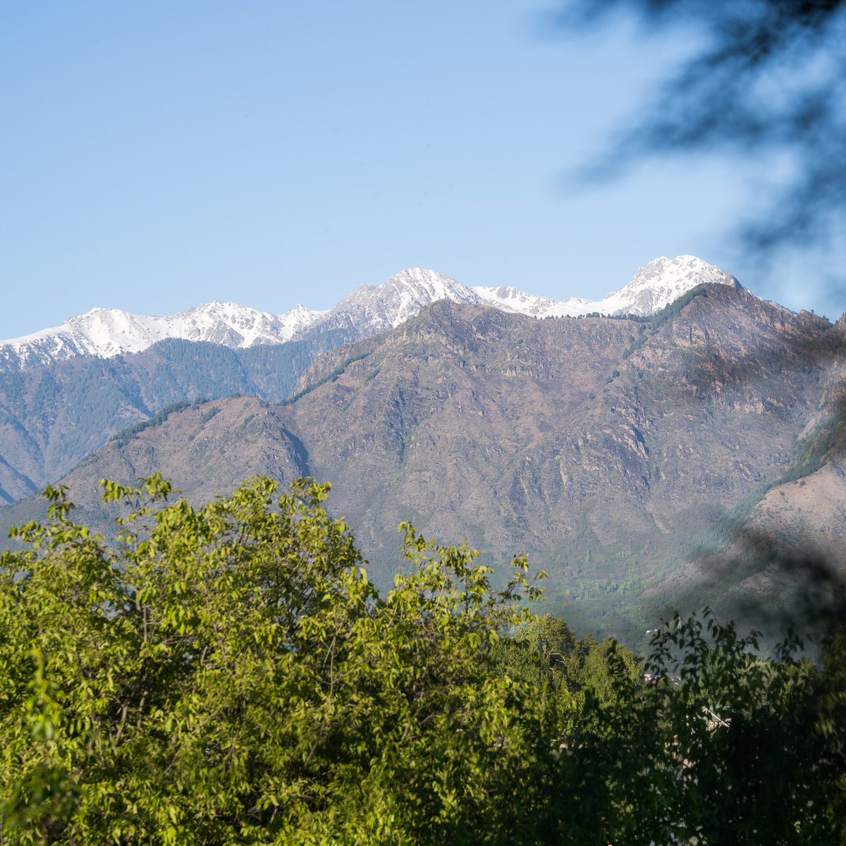 Theguyfromkashmir | SUHAIL tweet media