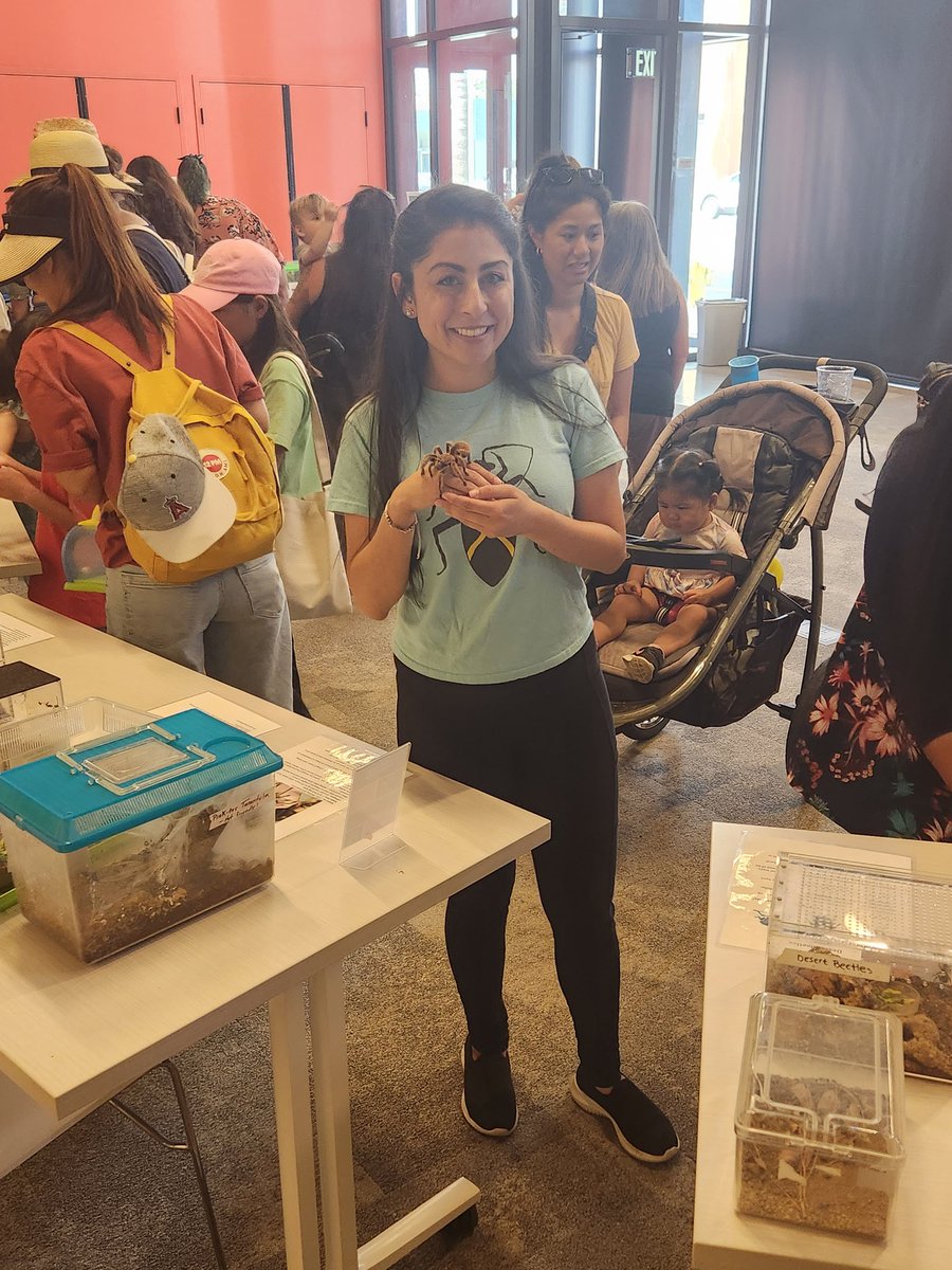 Stephanie Castillo tweet media