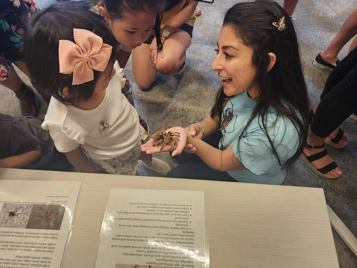 Stephanie Castillo tweet media