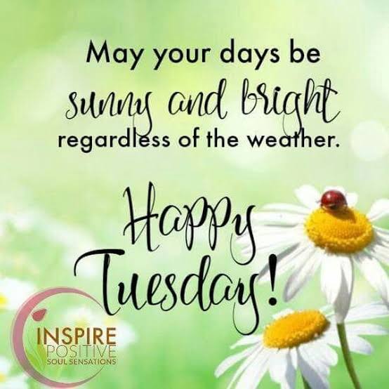 Good morning everyone!🌷🌻🌹

Saying ‘Yes’ to positivity leaves no room for ‘Negative Thoughts’. 

Happy Tuesday! Enjoy your day!

#KissesDelavin 
<a href="/KissesDelavin/">Kisses Delavin</a>