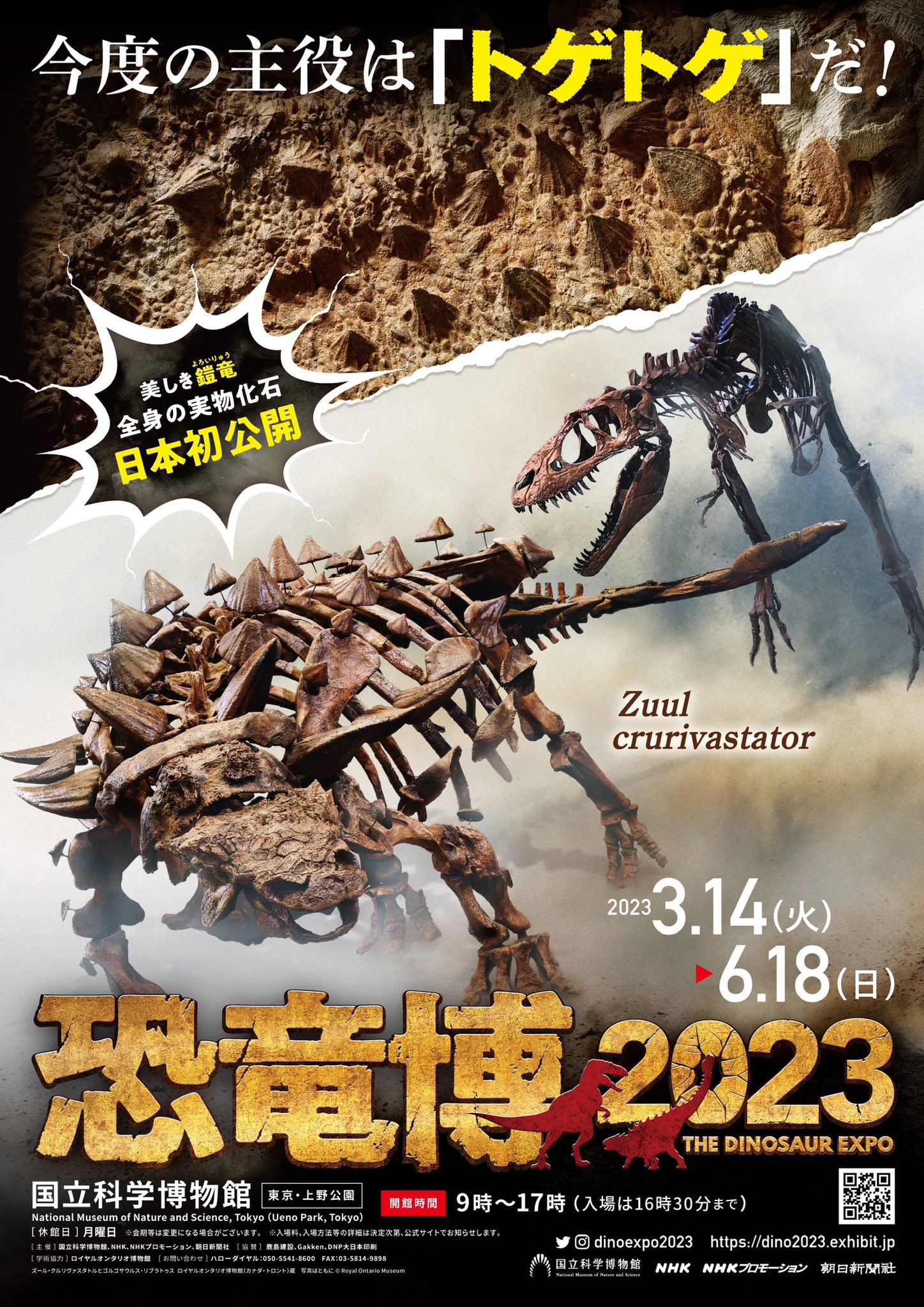 かはく【国立科学博物館公式】 on X: 