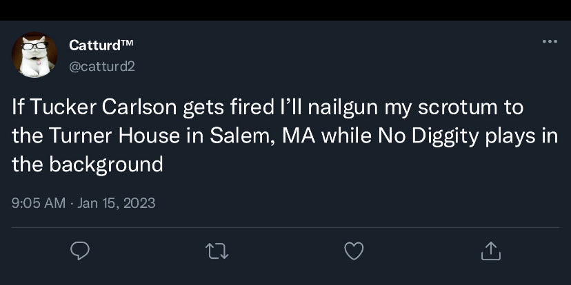 Daisy Pretty 🟧 💙 tweet media