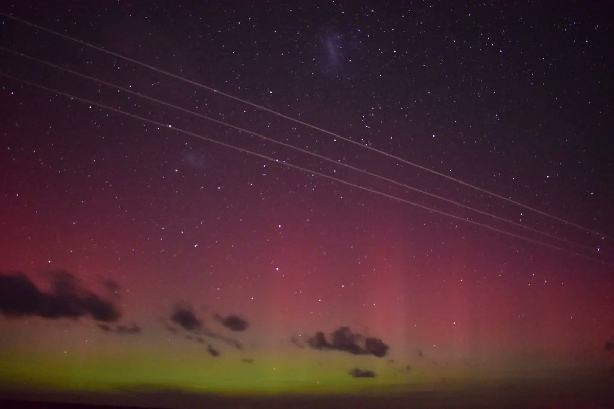 Diane 🦕 tweet media