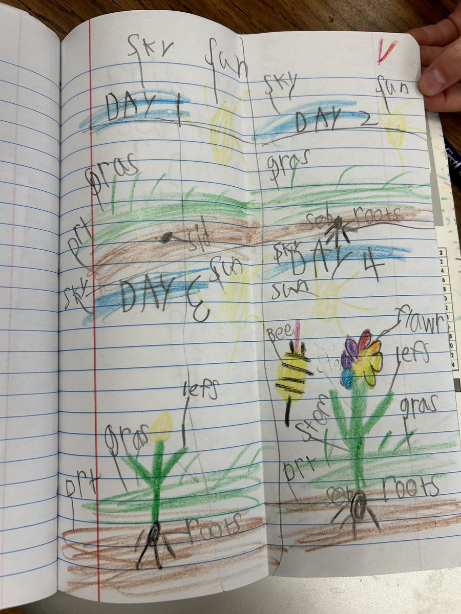 Stacey Johnson, M. Ed. tweet media