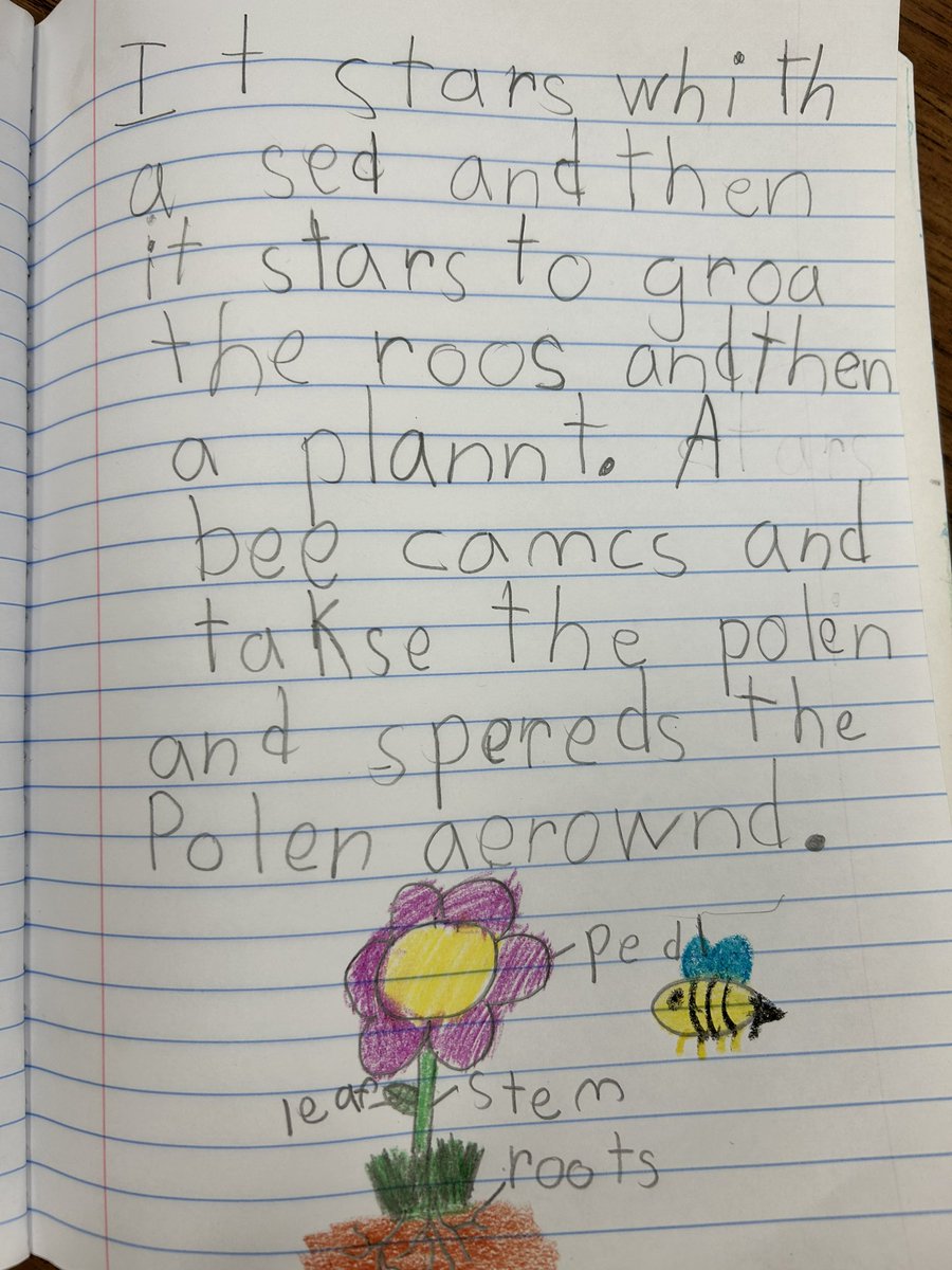 Stacey Johnson, M. Ed. tweet media