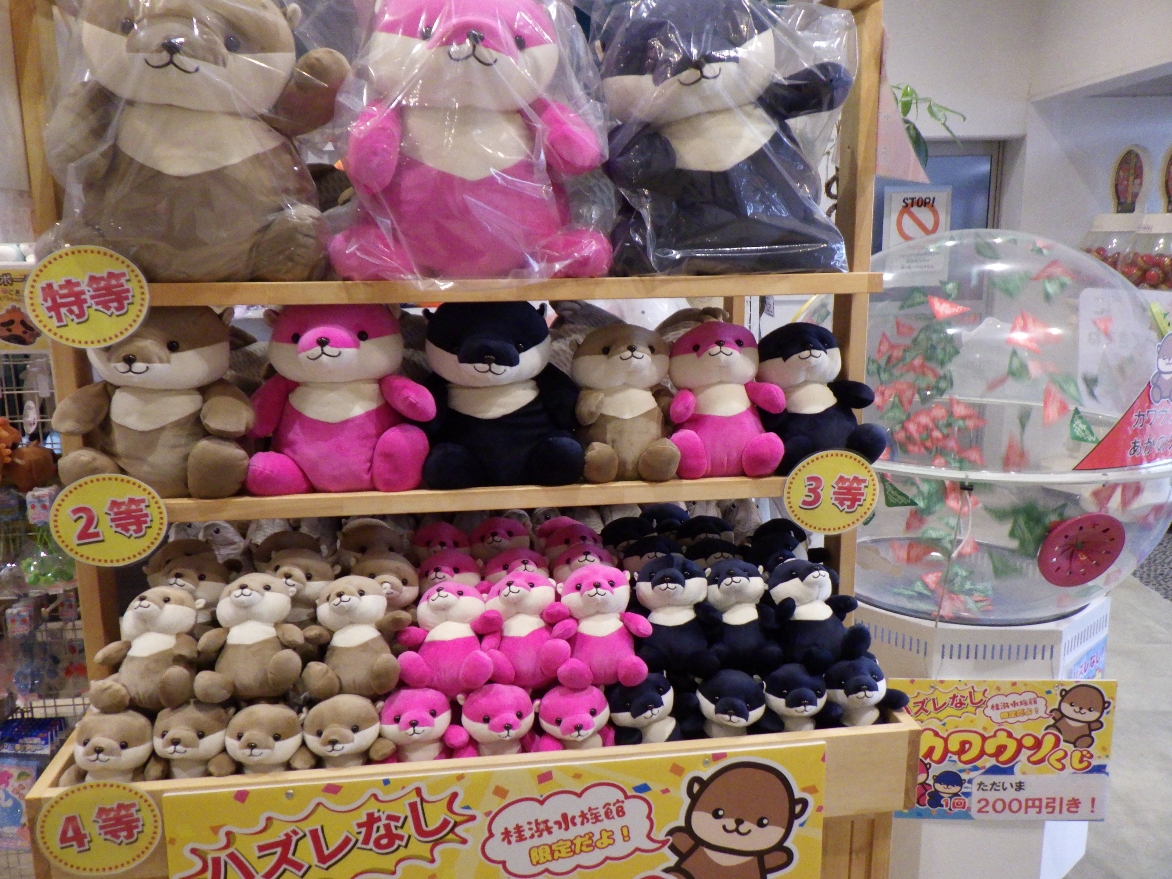 Amazon.co.jp: はまかわうそ おばはんカワウソ ぬいぐるみ L