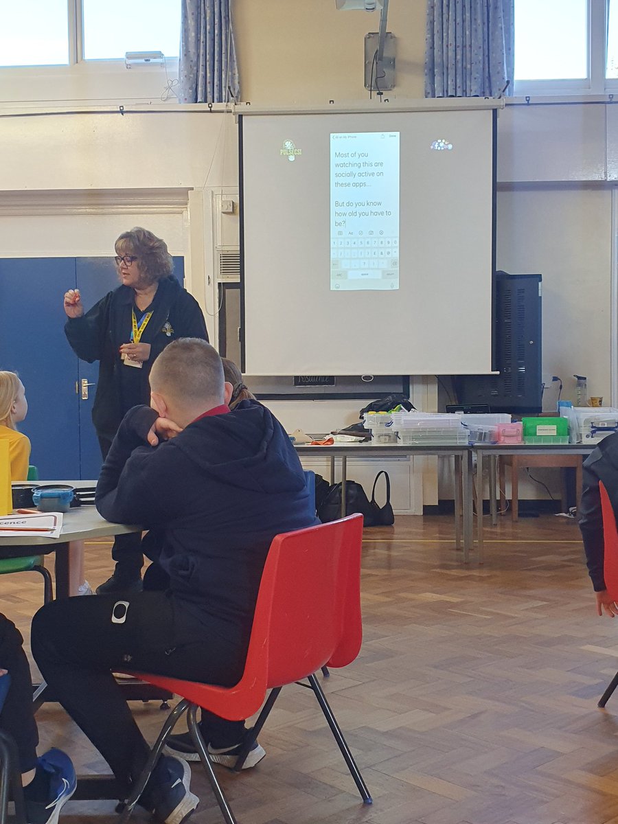 Y5Auckley tweet media