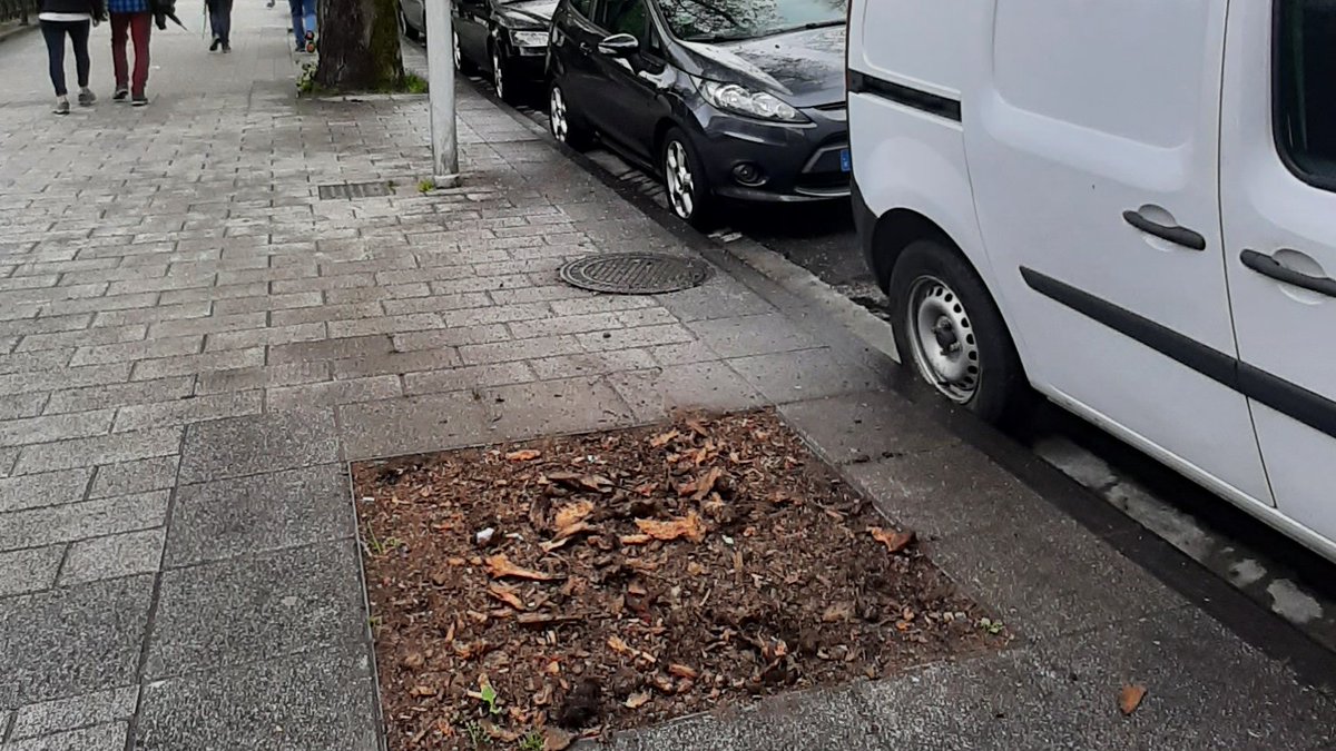 artiakolagunak's tweet photo. ⚠️Urtetan, @Irun_informa|k #Irungo Nafarroako Ibilbideko #Zuhaitzak moztu🪓eta hutsunea #Zuhaitz berriekin ordezkatu beharrean, kaleko #Altzariak jarri, harlauzaz estali edo #Aparkaleku|etarako erabili ditu.
#Udaberri hau3⃣ #Ezki moztuz ospatu dute.
#IrunDa #Irun #JASANGaitza‼️ https://t.co/v9m8reZDai