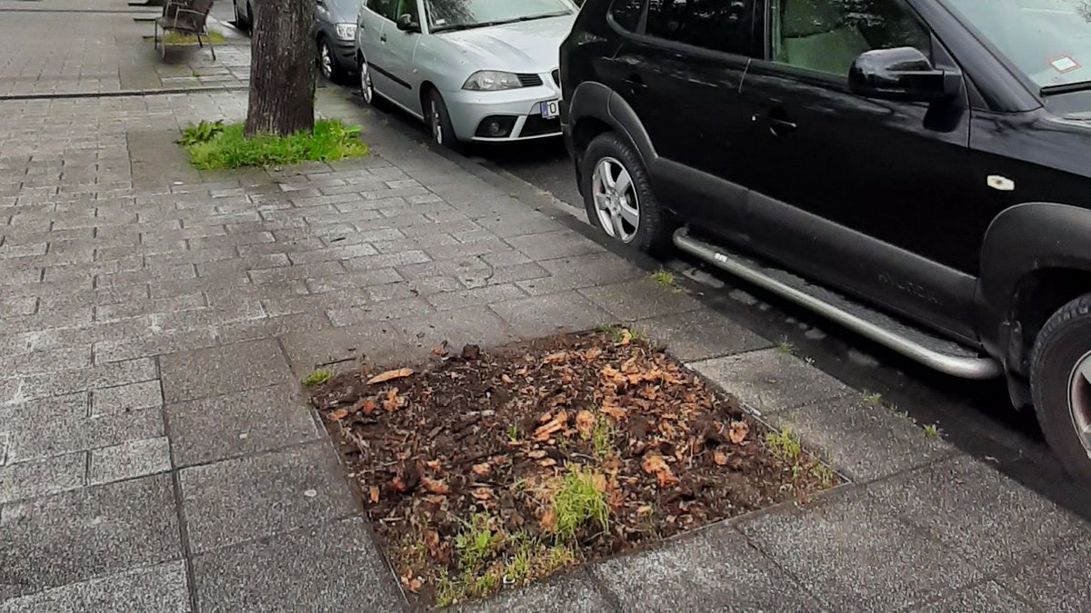 artiakolagunak's tweet photo. ⚠️Urtetan, @Irun_informa|k #Irungo Nafarroako Ibilbideko #Zuhaitzak moztu🪓eta hutsunea #Zuhaitz berriekin ordezkatu beharrean, kaleko #Altzariak jarri, harlauzaz estali edo #Aparkaleku|etarako erabili ditu.  
#Udaberri hau3⃣ #Ezki moztuz ospatu dute.
#IrunDa #Irun #JASANGaitza‼️ https://t.co/v9m8reZDai