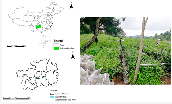 AgricultureMdpi's tweet photo. #AgricultureMdpi - 2022 High Cited Paper
Title: Contributions of Plant Litter Decomposition to Soil Nutrients in Ecological Tea Gardens
Authors: Shaqian Liu et al.
Link: https://t.co/BJKBvLiyio
#ecologicalteagarden #litterdecomposition #soilnutrients #dynamicchange https://t.co/cSUE9TemPj