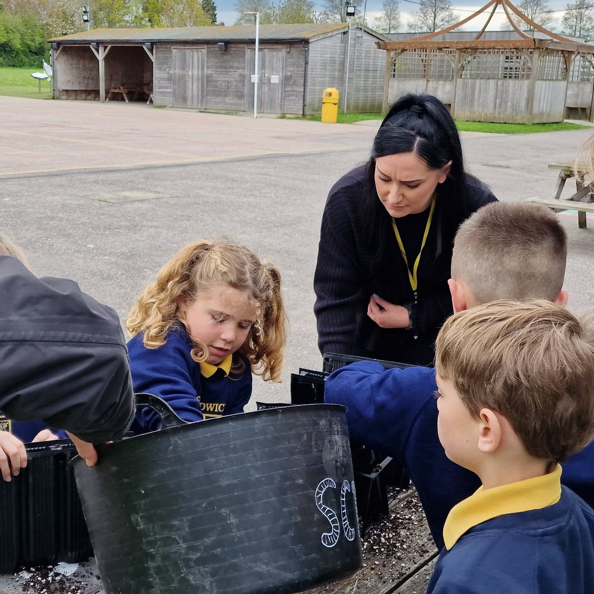 CTNsandwich's tweet photo. Planting Acorns year 3 @SandwichJunior @Sandwich_Trees  #treesforthefuture #trees #communitytreenursery #MakingaDifference #dirtyhandsarehappyhands @PaulBooth58 https://t.co/uftfMi5WlE