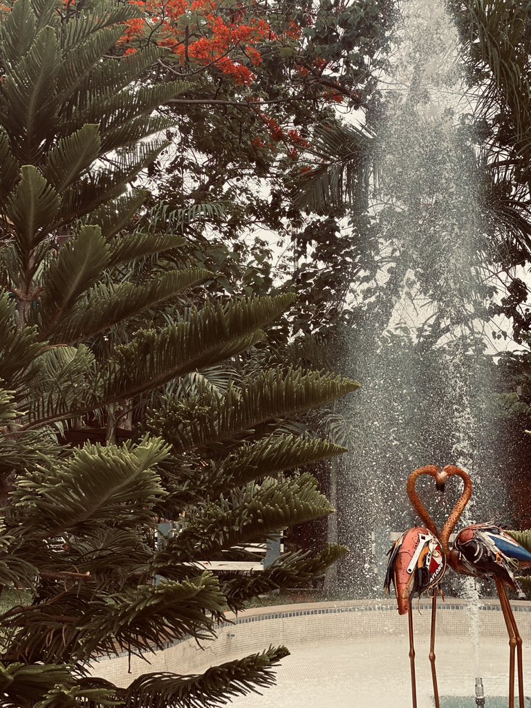 Love is in the air, wear facemask😷