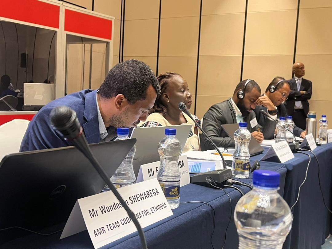 2023 Antimicrobial Stewardship Summit for Selected Member States in the WHO AFRO region.
