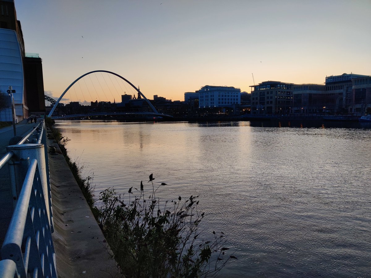 Diana Barger tweet media