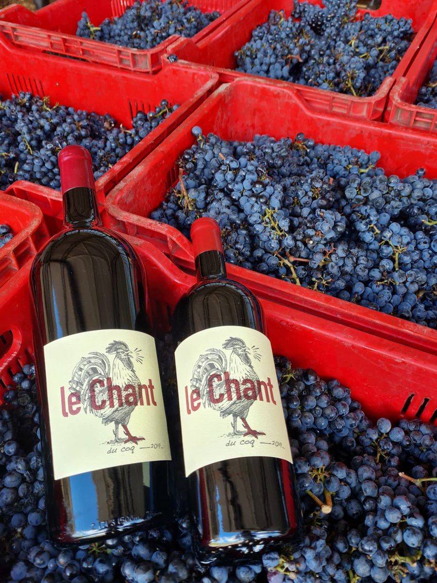 VenterPetri's tweet photo. Thank you #Harvest2023 - Wine making starts in the vineyard, gets personality in the cellar and create smiles in the bottle! https://t.co/hpEQ62BV7T