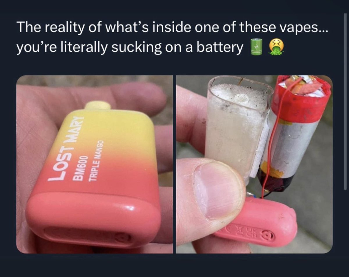 flat earth tweet media