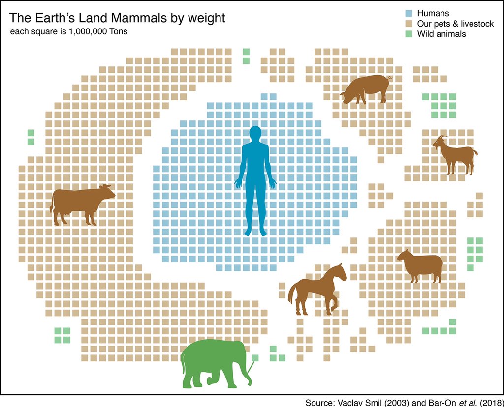 Weight of all land mammals 🌍

30% Humans 👨🏼‍🦰👩🏽👨🏾👵🏿👴🏻

67% Human Livestock 🐄🐂🐏🐖🐐 and pets 🐩🐈🐇

3% Wild animals 🐘🦏🦛🐆🐅🦓🦍🦒

We slaughtered the megafauna 

Now we are causing the #ClimateCrisis & the 6th #MassExtinction ☄️

Welcome to the #Anthropocene

#saveourplanet