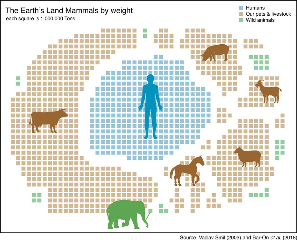 Weight of all land mammals 🌍

30% Humans 👨🏼‍🦰👩🏽👨🏾👵🏿👴🏻

67% Human Livestock 🐄🐂🐏🐖🐐 and pets 🐩🐈🐇

3% Wild animals 🐘🦏🦛🐆🐅🦓🦍🦒

We slaughtered the megafauna 

Now we are causing the #ClimateCrisis &amp; the 6th #MassExtinction ☄️

Welcome to the #Anthropocene

#saveourplanet