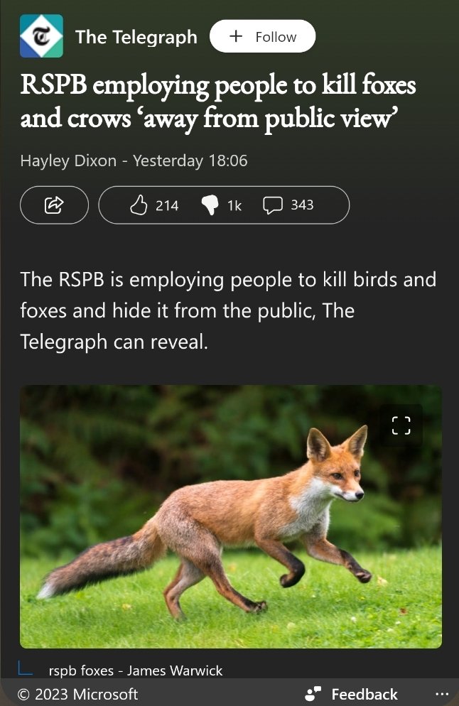 DuckoffMS's tweet photo. @BeccyRSPB, the inhumane culling of crows/foxes reported in the media is disgraceful. Use of Larson traps, so cruel, they are banned in the country of their invention. Thought RSPB was about conservation of wildlife. There's no excuse for animal abuse. Shame on you. https://t.co/qcHyLW2co4