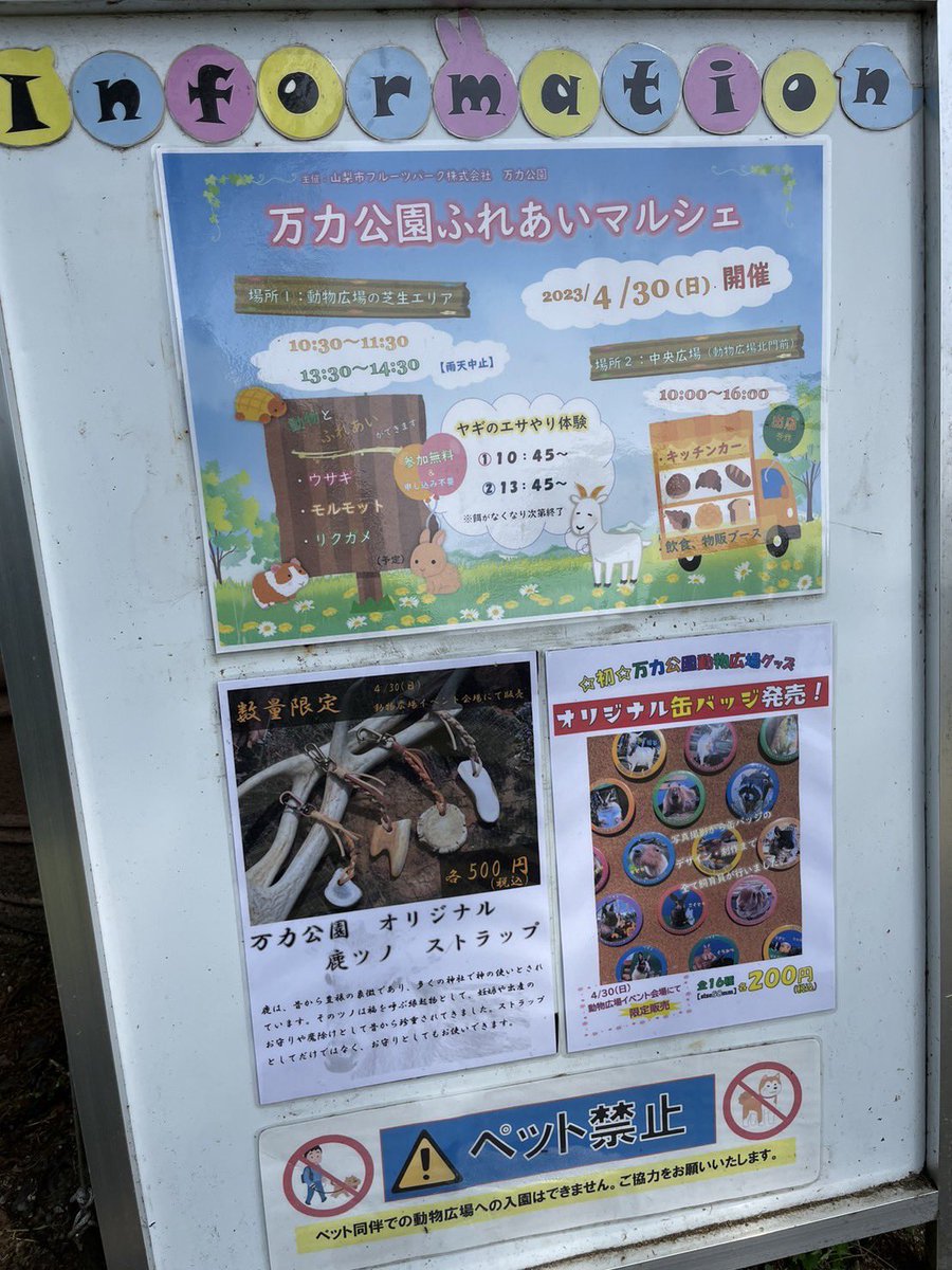 yamanashikanko's tweet photo. 万力公園では、4月30日（日）に「万力公園ふれあいマルシェ」が開催され���す✨動物広場内で飼育されている小動物たちとふれあいができる貴重な機会です🐐ぜひGWは万力公園へお出かけください🐇

詳細は…万力公園管理事務所まで📲
https://t.co/uBOfbyBm7Q

#山梨市 #万力公園 https://t.co/9iAHmkcHFe