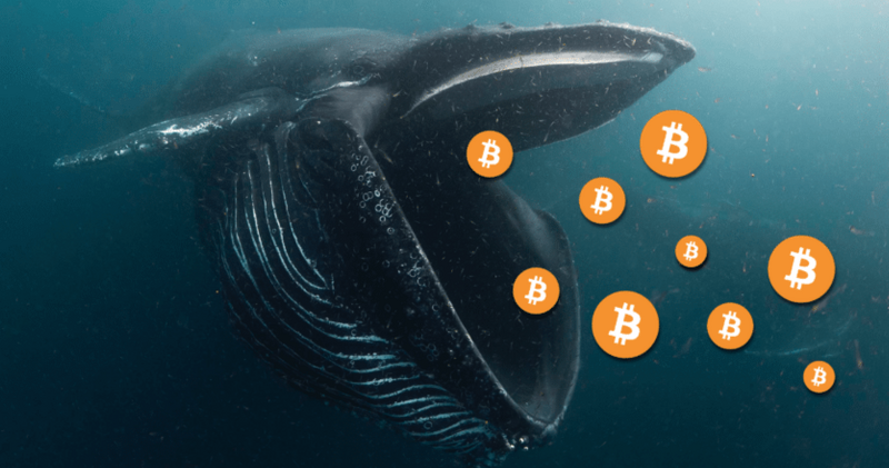 CoinKurier's tweet photo. Die jüngste Rallye von Bitcoin war von einer Phase der Volatilität geprägt, in der der Preis in den letzten Monaten schwankte. Ein Rückgang der Wechseleinlagen könnte jedoch darauf hindeuten, dass dieInhaber weiterhin optimistisch in die Zukunft der

https://t.co/31esOFLnd1 https://t.co/11eRtV9Fb4