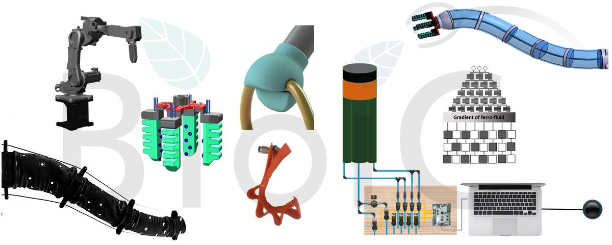 BioicProject tweet media