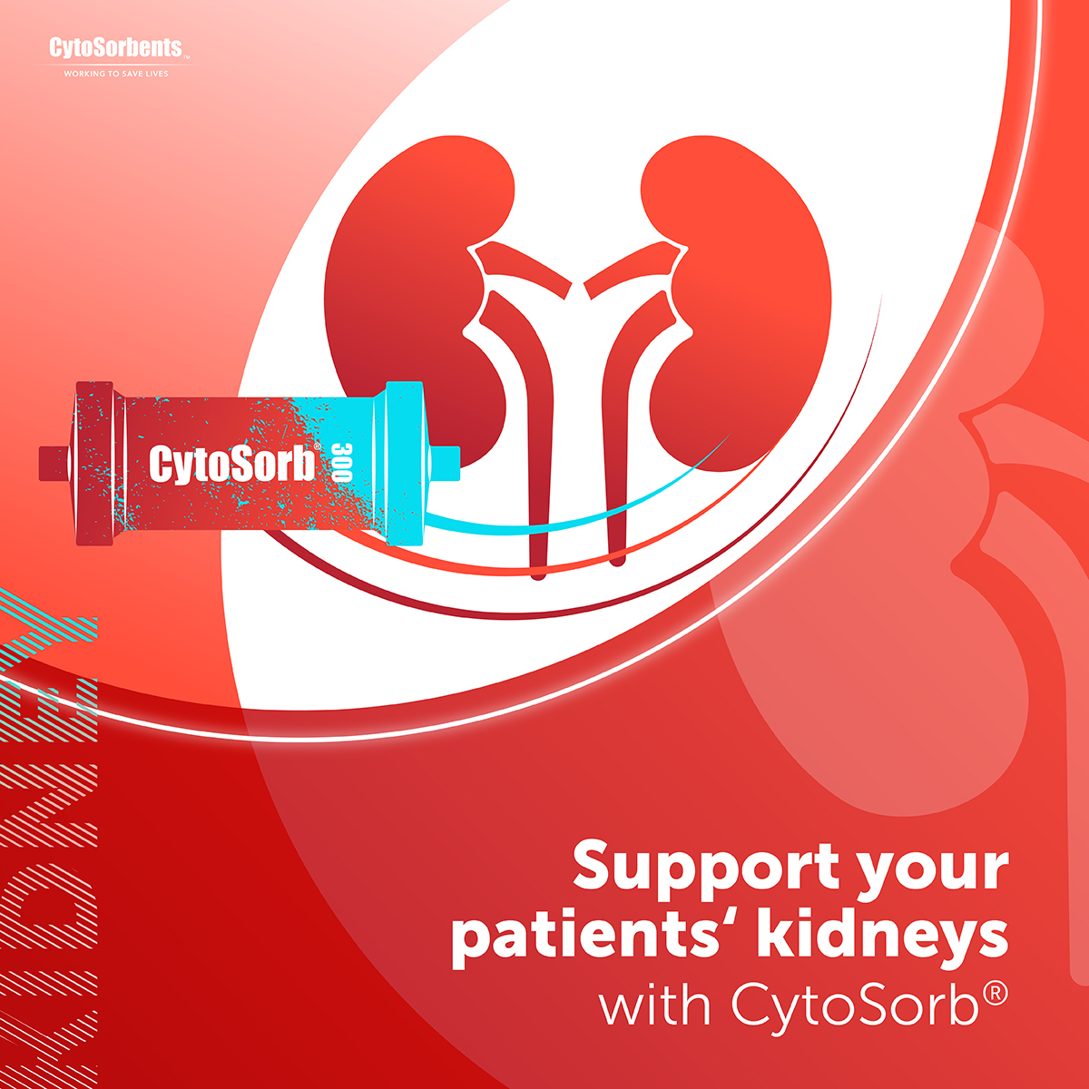CytoSorbents's tweet photo. Support Your Patients’ Kidneys With Cytosorb
#CytoSorb® is a powerful tool,proven to safely and simultaneously reduce both elevated levels of #cytokines and #myoglobin, thereby supporting the recovery of renal function.
Learn More 👉 https://t.co/w1R77NYppg
#CytoSorbents #Kidney https://t.co/8MpLbq5TMo