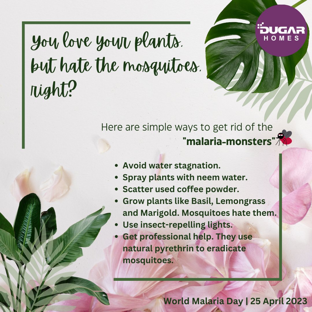 Plants are #NaturalAesthetics to #concretehomes. They bring life & vibrancy to the home & serve as a #stressbuster. As much as we love plants, we need to pay attention to the #mosquitoes  attracted to them. 
#DugarHomes #WorldMalariaDay #MosquitoMenace #ILoveMyPlants