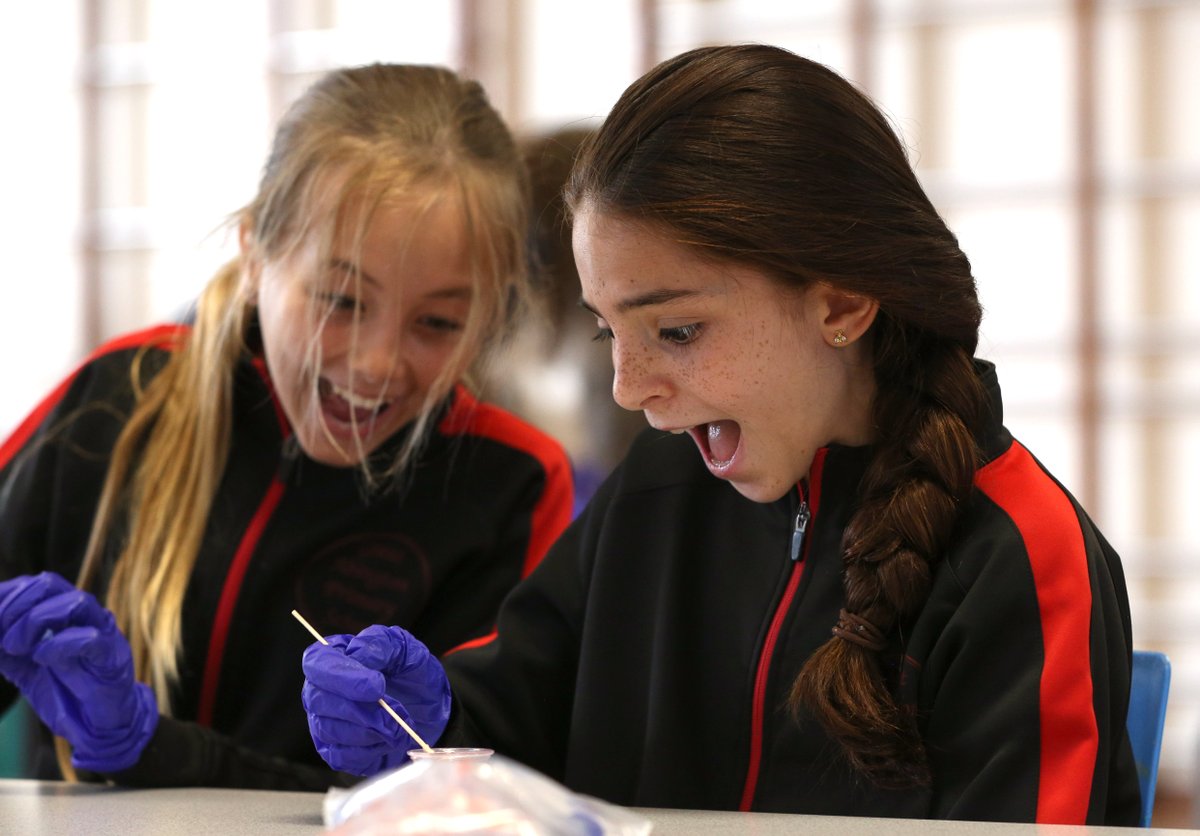 Camb_LaunchPad's tweet photo. It’s #DNADay 2023 and we're celebrating with our partners at @illumina.

428 students from 11 primary schools across Cambridgeshire will extract the DNA from strawberries and see the results right before their eyes. Stay tuned to see the day unfold 🧬 #LaunchIntoSTEM @form_future https://t.co/eDdhuYFLyP
