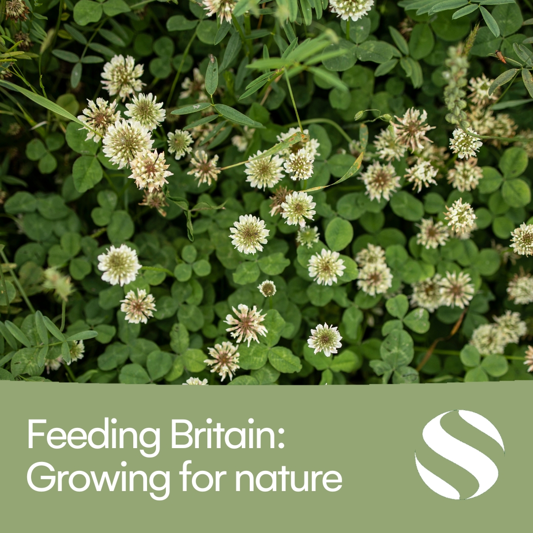 SusFoodTrust's tweet photo. The SFT’s Isabel Eaton casts a spotlight on the different farming systems that underpin food production and the ramifications that these have for the health of people and the planet.
Read here: https://t.co/BqqXSRwrDi
#LandSparing #LandSharing #RegenerativeAgriculture https://t.co/55ueRauHG0