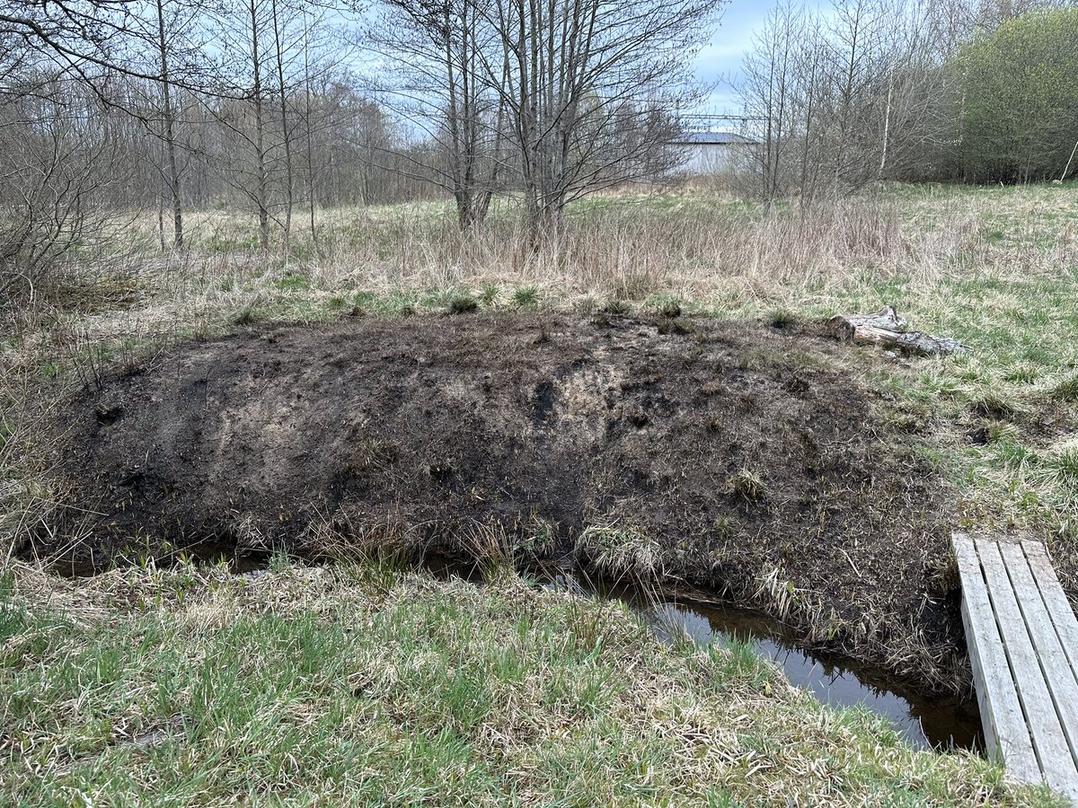 FGngen's tweet photo. Tre år gammal bibädd är förberedd för ny säsong. Bilder från anläggning, efter färdigställande och från igår. #sandbin #solitärbin #solitarybees #rovsteklar https://t.co/PfRnowcKaf