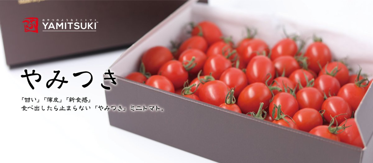 KUROKO_KANEYA's tweet photo. やみつきトマト 1kgの販売を本日より開始いたしました。
薄皮で甘くて美味しいので、ぜひ一度お試しください。

※スリット鉢と���別梱包・別発送になるため、1万円以下のご注文の場合は送料が二重にかかってしまいます。
ご注意ください。 https://t.co/m1M3LPdvFc