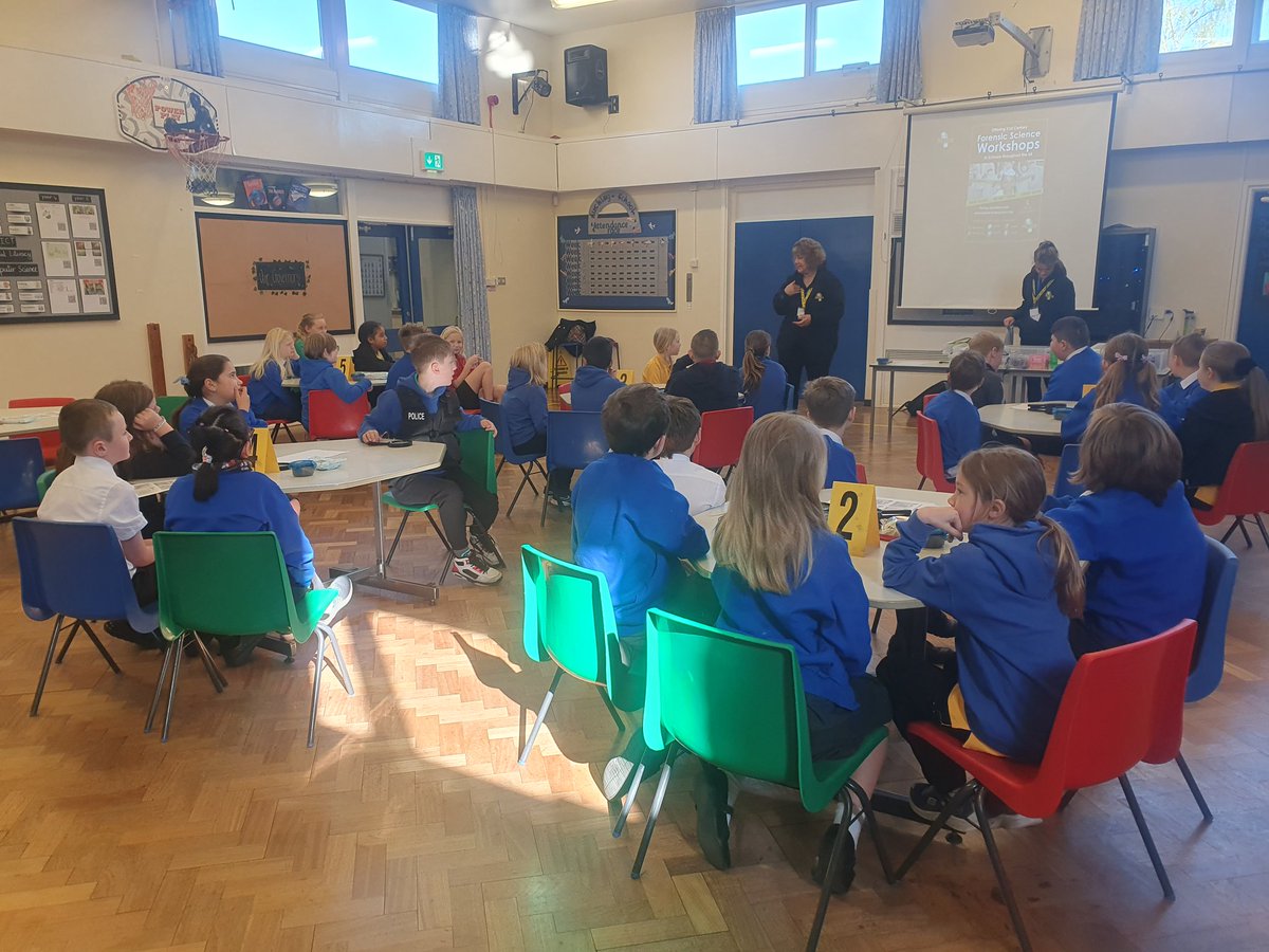 Y5Auckley tweet media