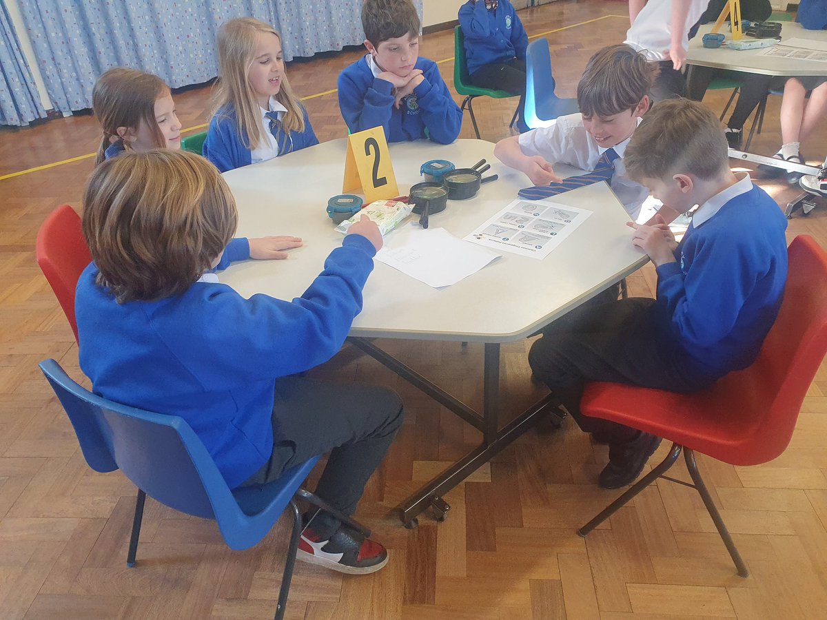 Y5Auckley tweet media