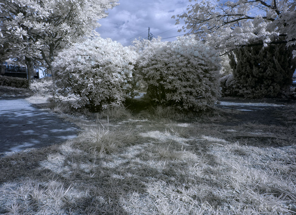 murata_photo's tweet image. ご近所だけど、割と良い感じかなぁ。
#ColorSwap #異世界召喚